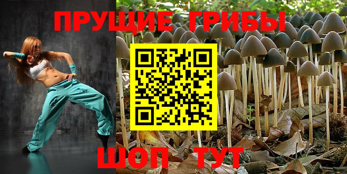 Галлюциногенные грибы Magic Shrooms Джанкой