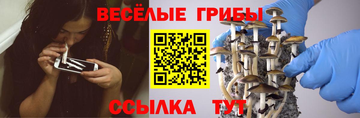 Галлюциногенные грибы GOLDEN TEACHER  Вход с VPN  Джанкой 